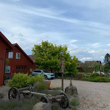 B&B Borgunda-3